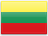 Lithuanian Litas Flag
