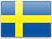 Swedish Krona Flag