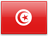 Tunisian Dinar Flag