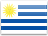 Uruguayo Peso Flag