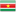 Surinam Dollar Flag